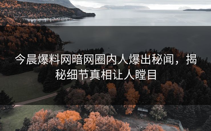今晨爆料网暗网圈内人爆出秘闻，揭秘细节真相让人瞠目