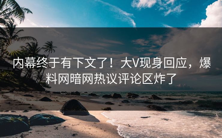 内幕终于有下文了！大V现身回应，爆料网暗网热议评论区炸了
