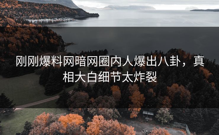 刚刚爆料网暗网圈内人爆出八卦，真相大白细节太炸裂
