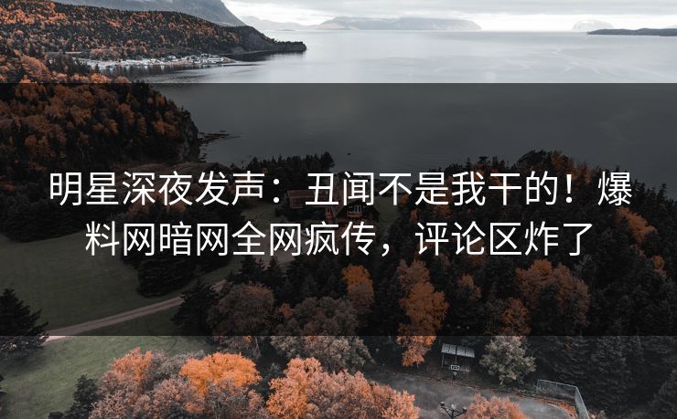 明星深夜发声：丑闻不是我干的！爆料网暗网全网疯传，评论区炸了