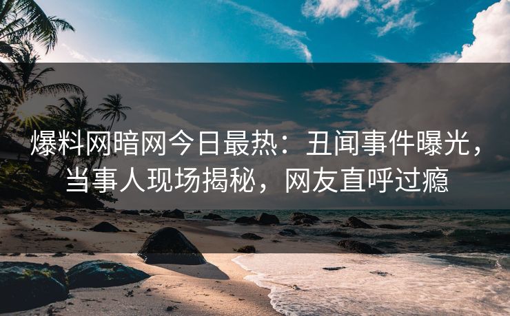 爆料网暗网今日最热：丑闻事件曝光，当事人现场揭秘，网友直呼过瘾