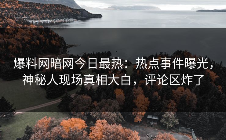 爆料网暗网今日最热:热点事件曝光,神秘人现场真相大白,评论区炸了