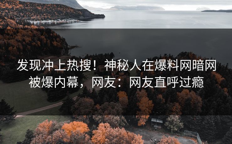 发现冲上热搜!神秘人在爆料网暗网被爆内幕,网友:网友直呼过瘾