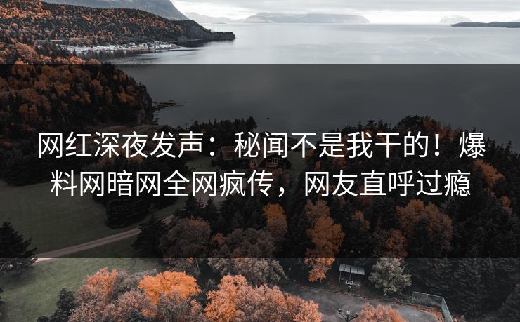 网红深夜发声：秘闻不是我干的！爆料网暗网全网疯传，网友直呼过瘾