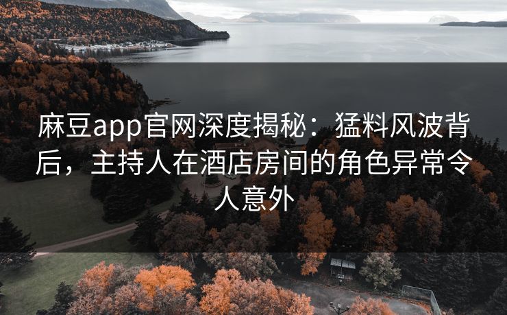 麻豆app官网深度揭秘：猛料风波背后，主持人在酒店房间的角色异常令人意外
