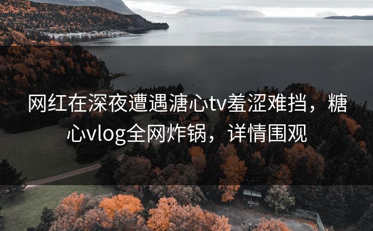 网红在深夜遭遇溏心tv羞涩难挡，糖心vlog全网炸锅，详情围观