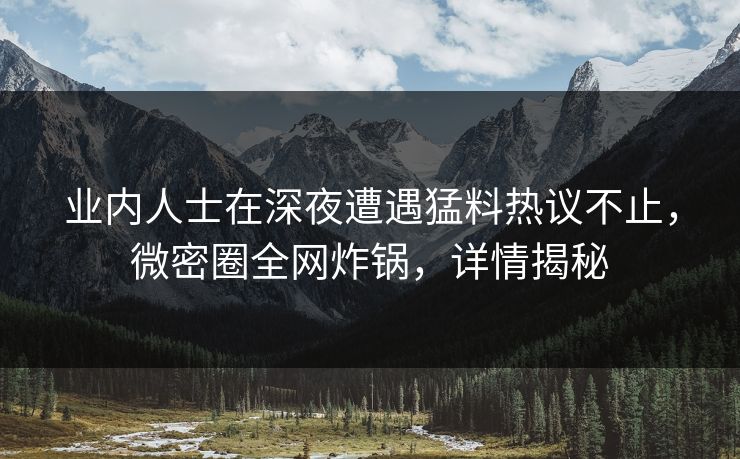 业内人士在深夜遭遇猛料热议不止，微密圈全网炸锅，详情揭秘